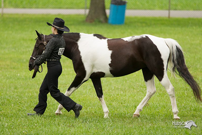 4H-1st-Show-11_0856.jpg