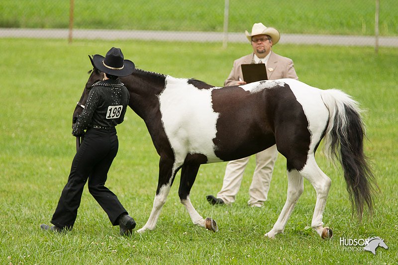 4H-1st-Show-11_0857.jpg