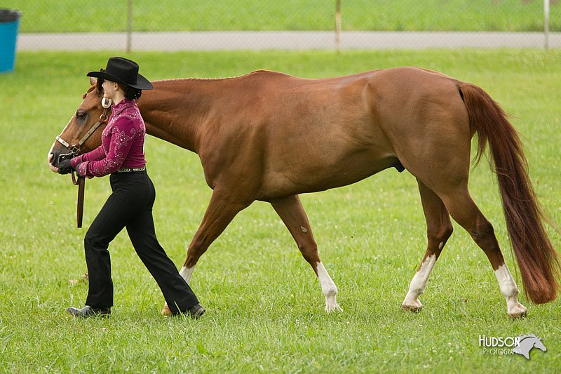 4H-1st-Show-11_0858.jpg