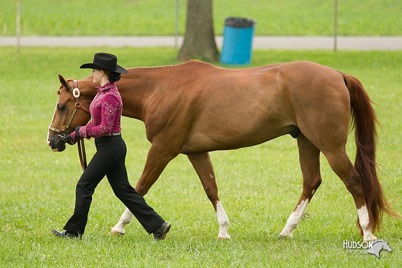 4H-1st-Show-11_0859.jpg