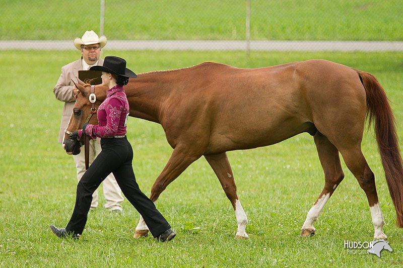 4H-1st-Show-11_0860.jpg
