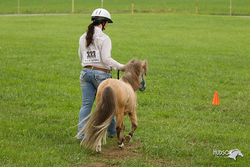 4H-1st-Show-11_0861.jpg