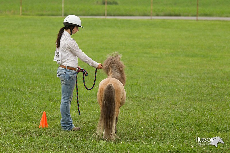 4H-1st-Show-11_0862.jpg