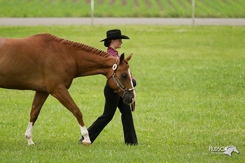 4H-1st-Show-11_0863.jpg