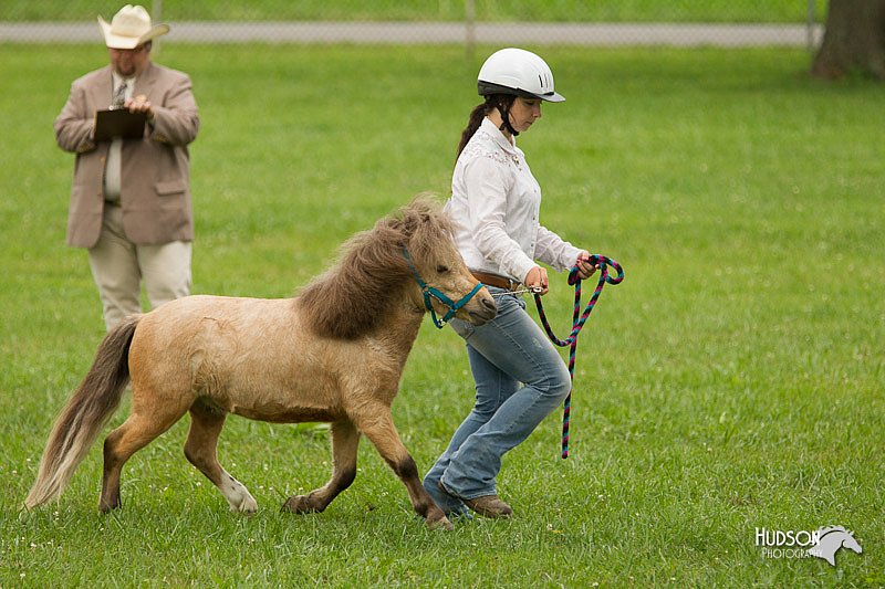 4H-1st-Show-11_0865.jpg