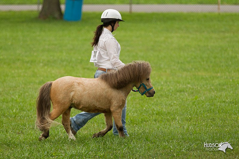 4H-1st-Show-11_0866.jpg