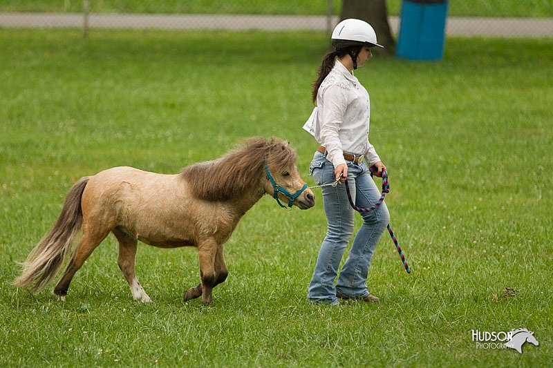 4H-1st-Show-11_0868.jpg
