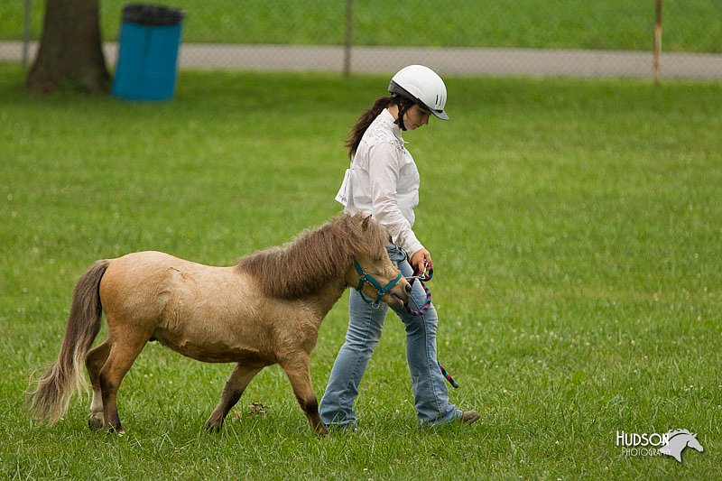 4H-1st-Show-11_0869.jpg