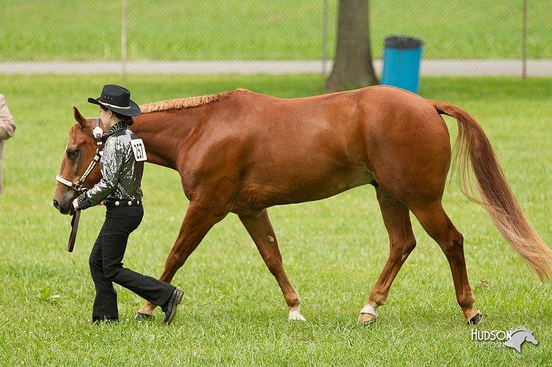 4H-1st-Show-11_0871.jpg