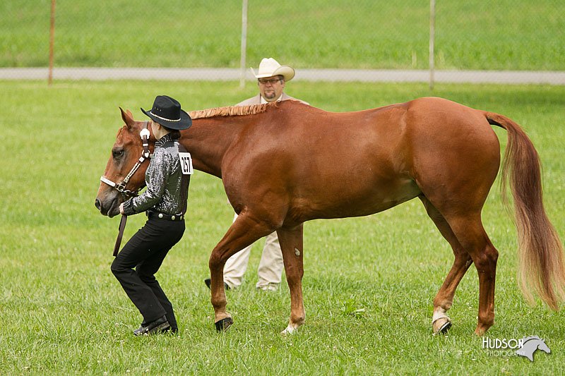 4H-1st-Show-11_0872.jpg