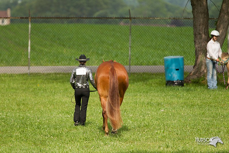 4H-1st-Show-11_0873.jpg
