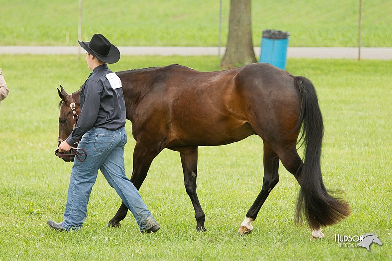 4H-1st-Show-11_0875.jpg