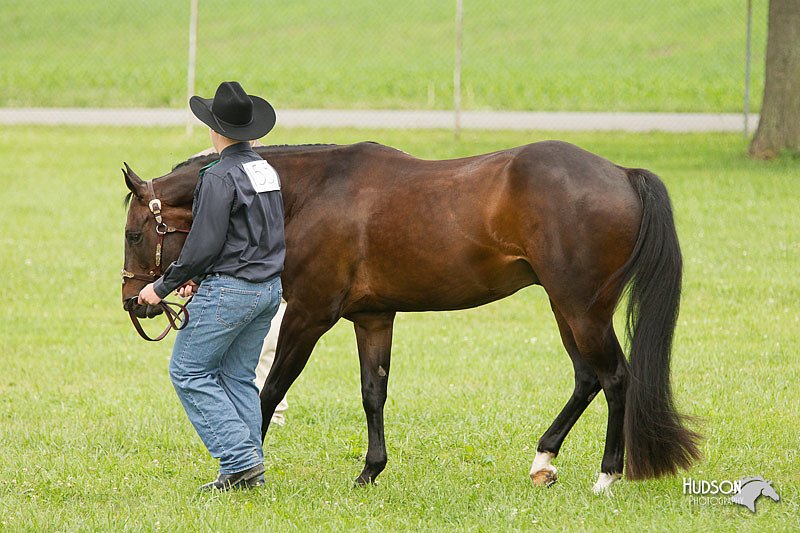 4H-1st-Show-11_0876.jpg