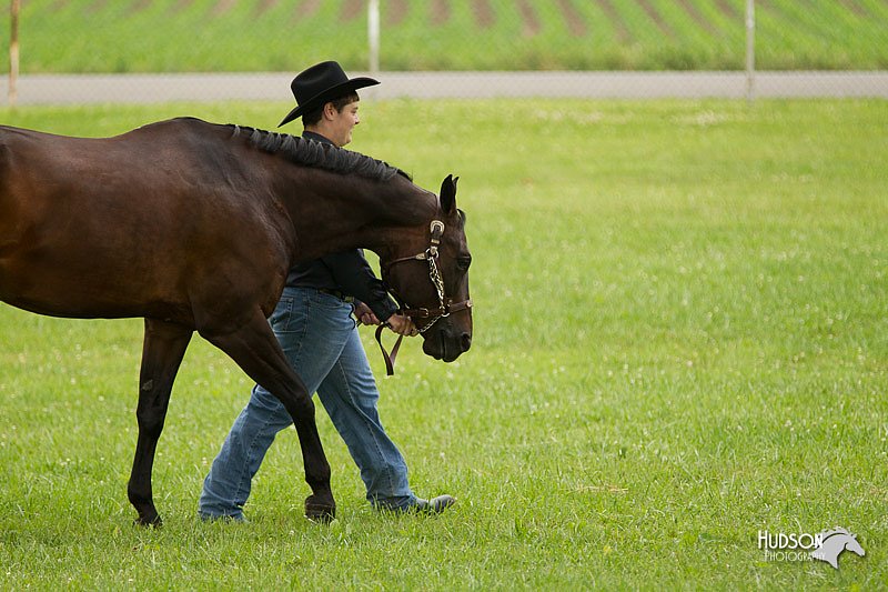 4H-1st-Show-11_0878.jpg