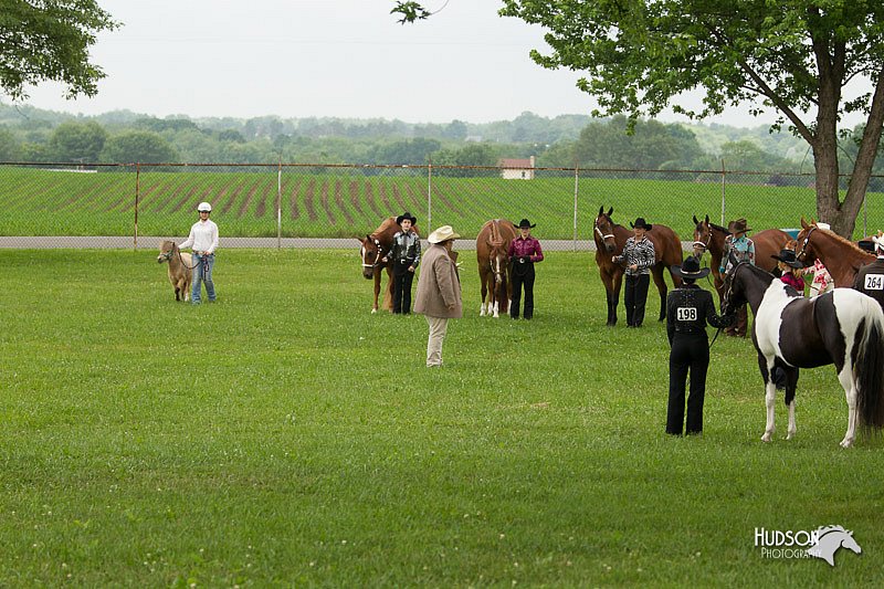 4H-1st-Show-11_0882.jpg