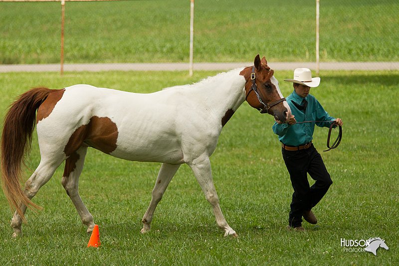 4H-1st-Show-11_0888.jpg