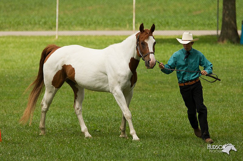 4H-1st-Show-11_0889.jpg