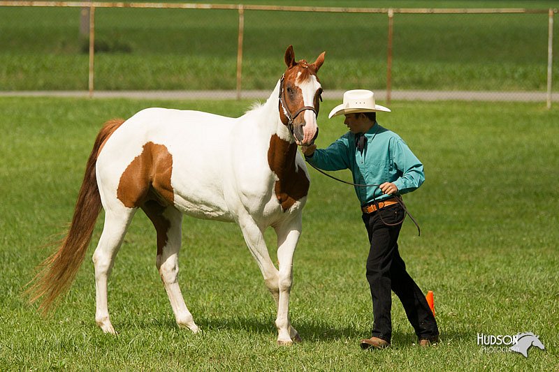 4H-1st-Show-11_0891.jpg