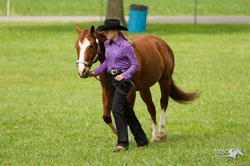 4H-1st-Show-11_0895.jpg