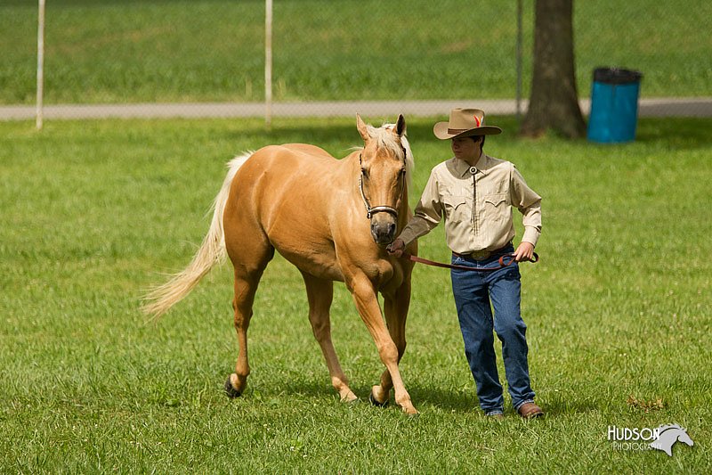 4H-1st-Show-11_0897.jpg