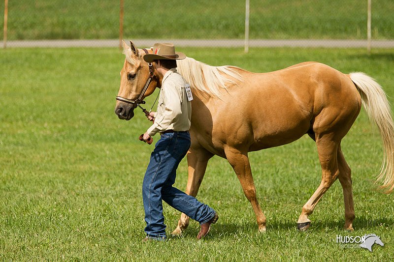 4H-1st-Show-11_0899.jpg