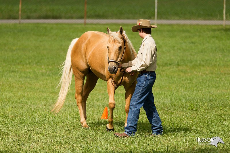4H-1st-Show-11_0900.jpg