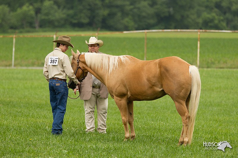 4H-1st-Show-11_0901.jpg