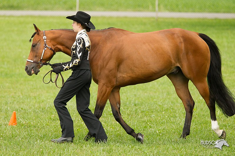 4H-1st-Show-11_0913.jpg