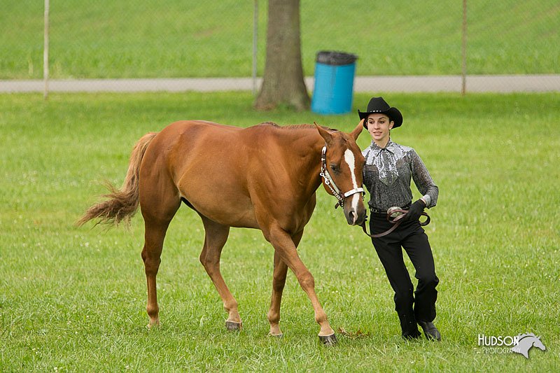 4H-1st-Show-11_0917.jpg