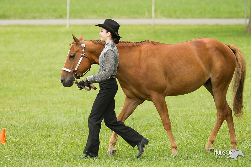 4H-1st-Show-11_0919.jpg