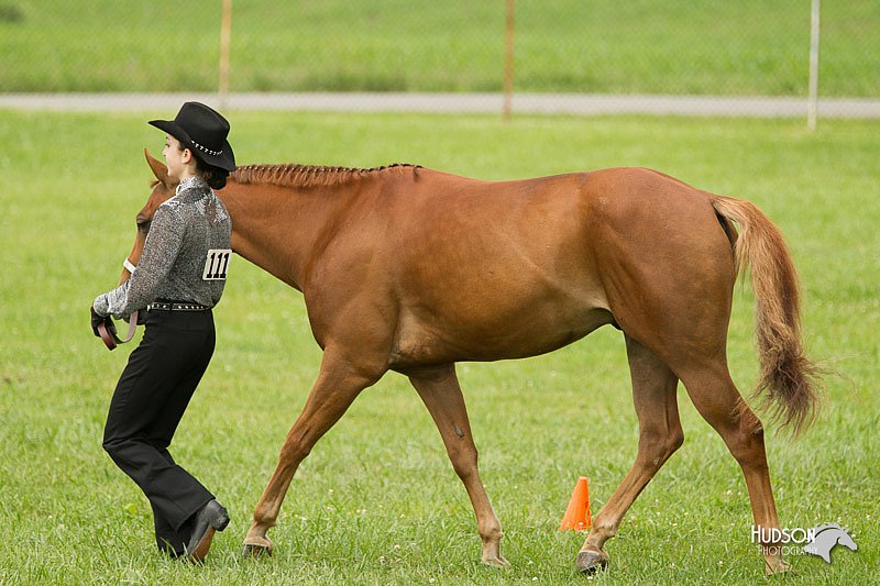 4H-1st-Show-11_0920.jpg