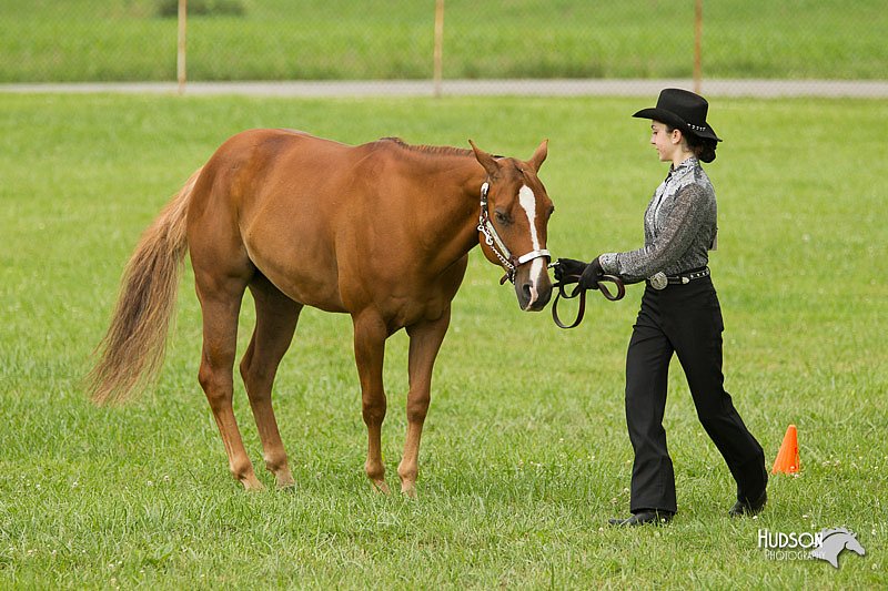 4H-1st-Show-11_0921.jpg