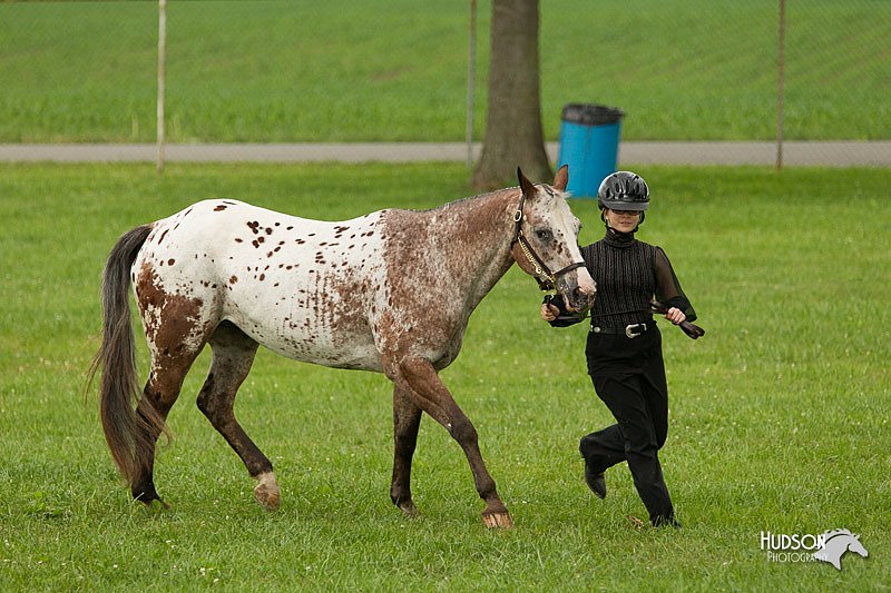 4H-1st-Show-11_0922.jpg