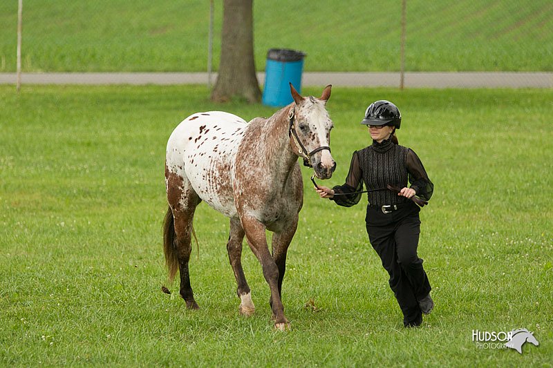 4H-1st-Show-11_0923.jpg