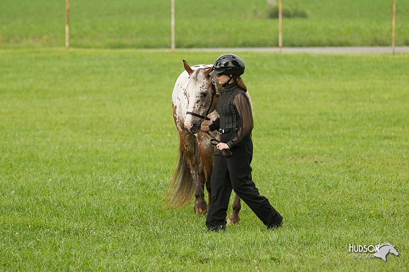 4H-1st-Show-11_0925.jpg