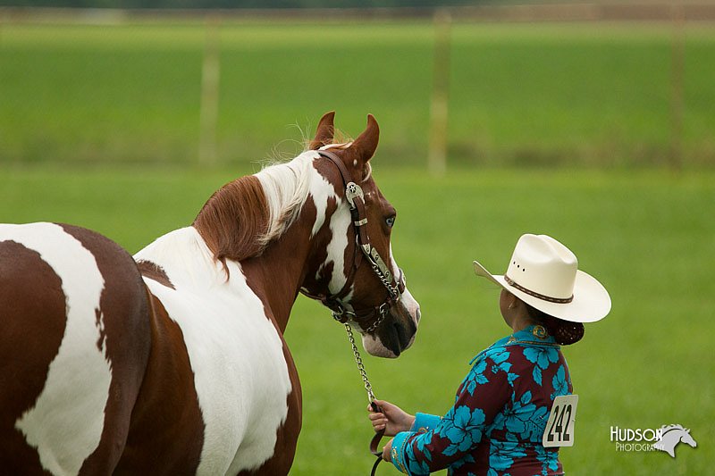 4H-1st-Show-11_0930.jpg