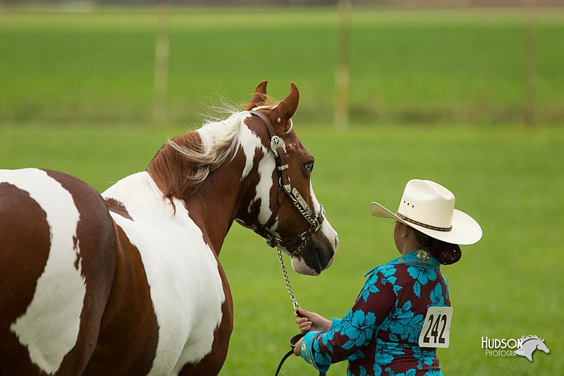 4H-1st-Show-11_0931.jpg