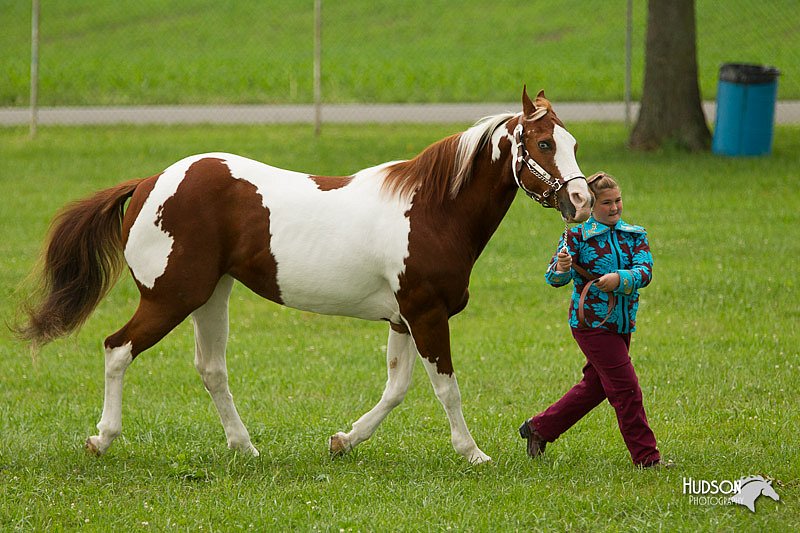 4H-1st-Show-11_0934.jpg