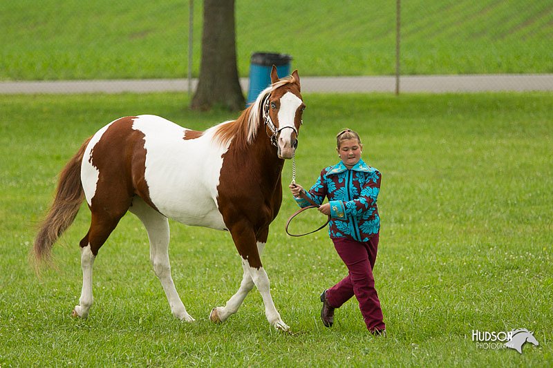 4H-1st-Show-11_0935.jpg