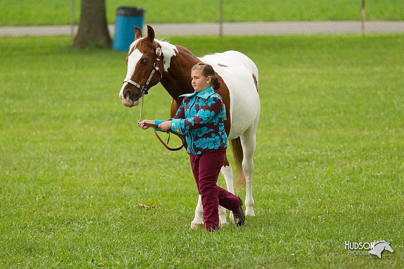 4H-1st-Show-11_0936.jpg
