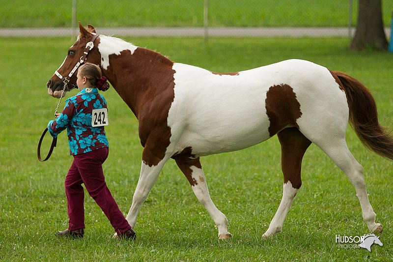 4H-1st-Show-11_0937.jpg