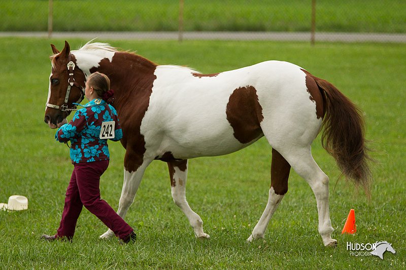 4H-1st-Show-11_0938.jpg