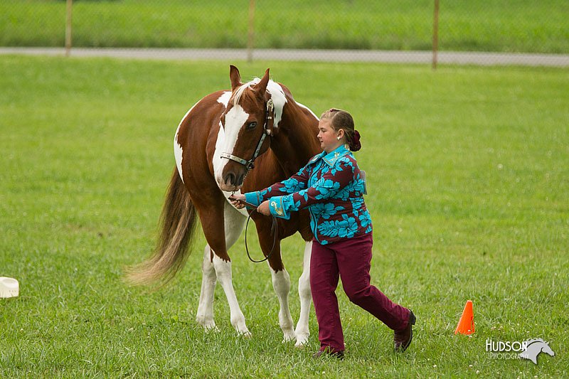 4H-1st-Show-11_0939.jpg
