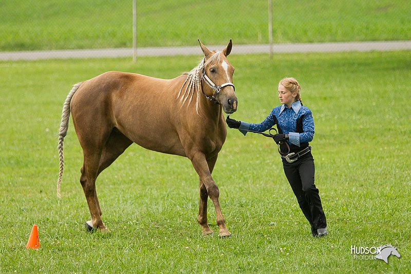4H-1st-Show-11_0940.jpg