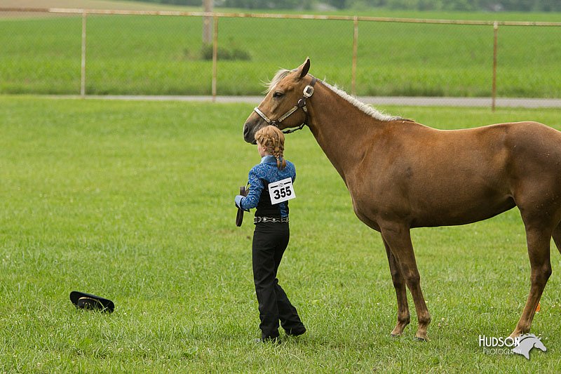 4H-1st-Show-11_0943.jpg