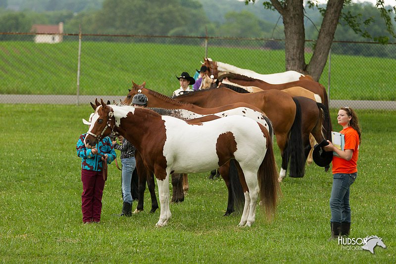 4H-1st-Show-11_0944.jpg