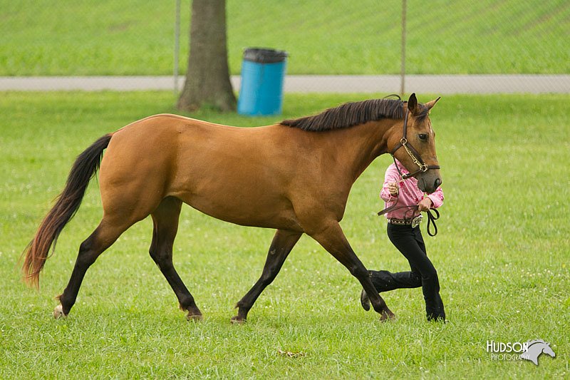 4H-1st-Show-11_0945.jpg