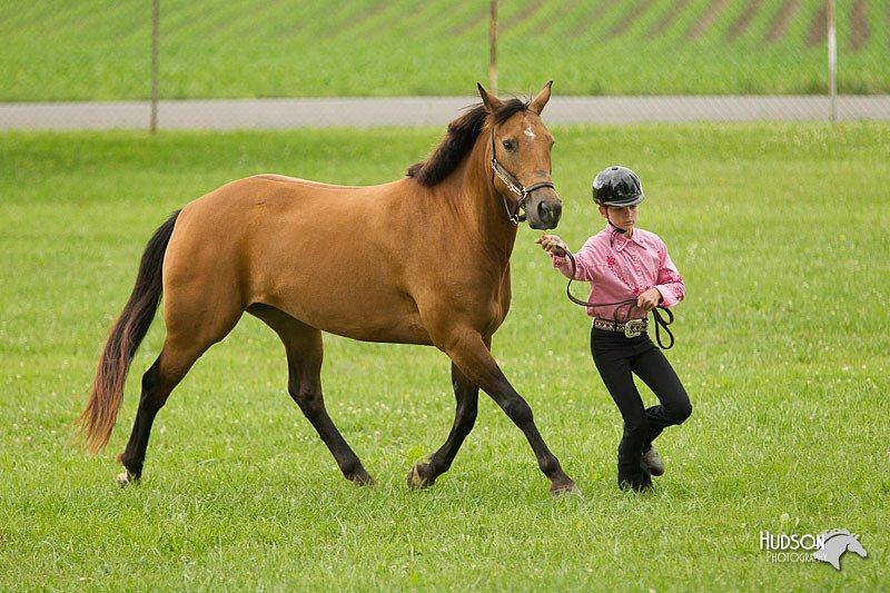 4H-1st-Show-11_0946.jpg