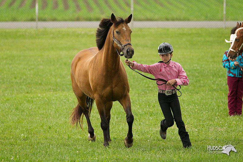 4H-1st-Show-11_0947.jpg