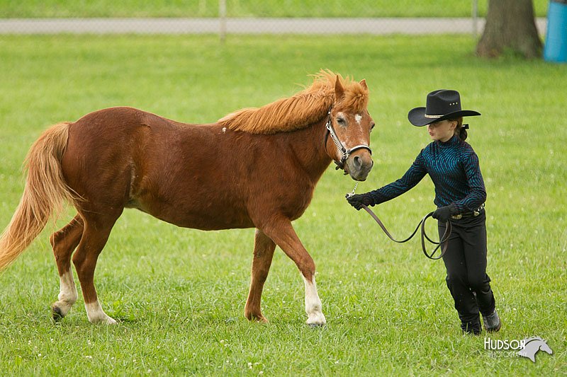4H-1st-Show-11_0952.jpg